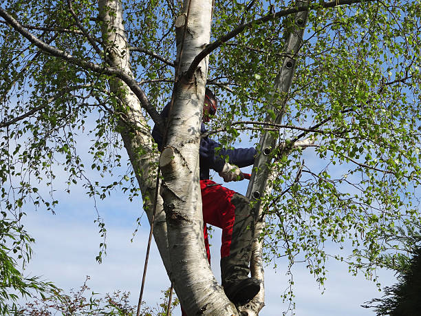 Mulching Services in Eatons Neck, NY